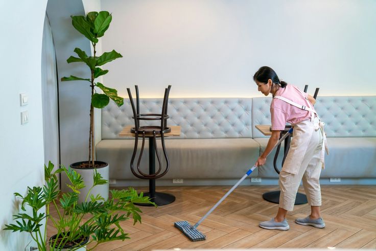 Common Area Cleaning (Society / Apartment)